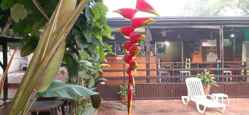 Residencial Noelia Hostel Puerto Iguazú Eksteriør billede